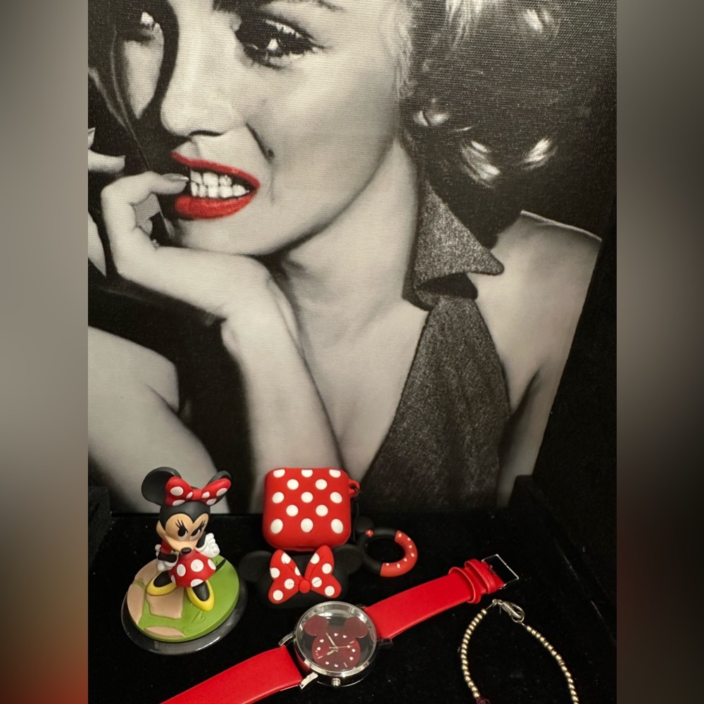 Mini mouse bundle